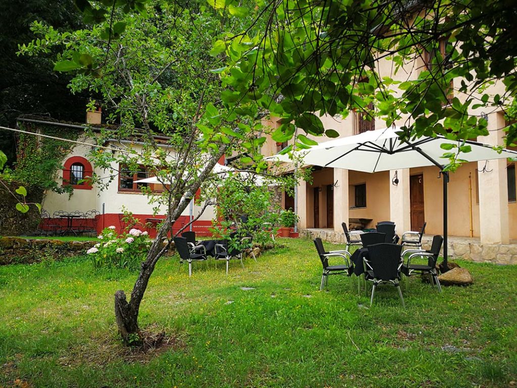 Jardin de la terraza del hotel jardin del conde